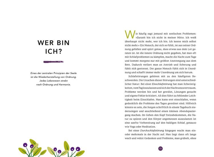 Produktbild: Heilpflanzen f&uuml;r die seelische Entwicklung