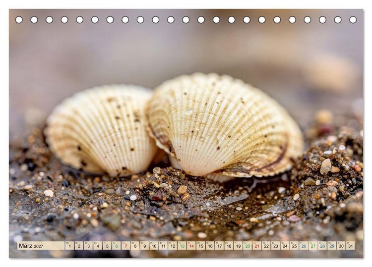 Produktbild: Die kleinsten Tiere - Weltweit (Tischkalender 2027 DIN A5 quer), CALVENDO Monatskalender