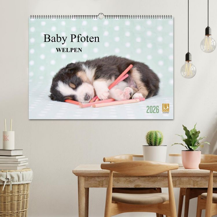Produktbild: Baby Pfoten (Wandkalender 2026 DIN A2 quer), CALVENDO Monatskalender