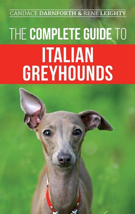 Produktbild: The Complete Guide to Italian Greyhounds