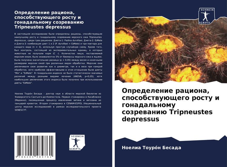 Produktbild: Opredelenie raciona, sposobstwu&uuml;schego rostu i gonadal'nomu sozrewani&uuml; Tripneustes depressus