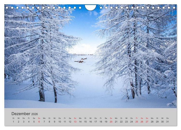 Produktbild: Komm, ich zeige dir den Wald (Wandkalender 2026 DIN A4 quer), CALVENDO Monatskalender
