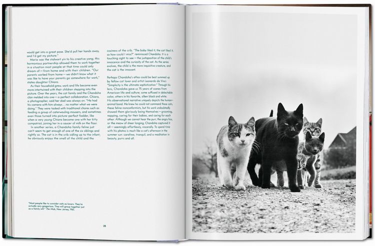 Produktbild: Walter Chandoha. Cats. Photographs 1942&ndash;2018