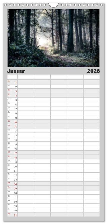 Produktbild: Familienplaner 2026 - Mystische W&auml;lder mit 5 Spalten (Wandkalender, 21 x 45 cm) CALVENDO