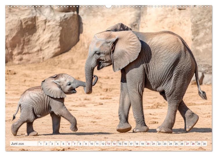 Produktbild: M&uuml;tterherzen im wilden Tierreich (hochwertiger Premium Wandkalender 2026 DIN A2 quer), Kunstdruck in Hochglanz
