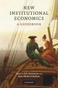 Produktbild: New Institutional Economics