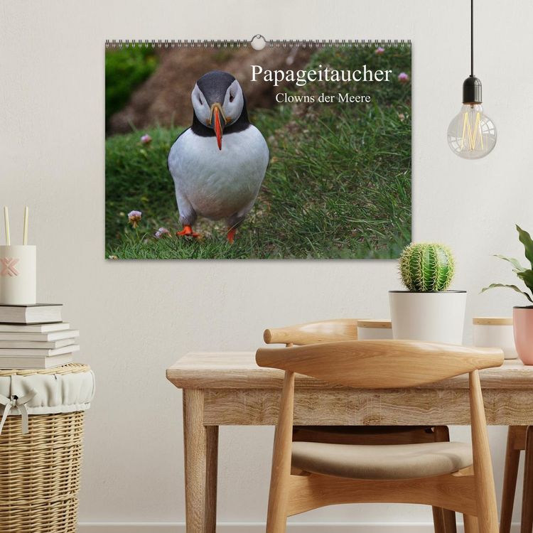 Produktbild: Papageitaucher Clowns der Meere (Wandkalender 2026 DIN A3 quer), CALVENDO Monatskalender