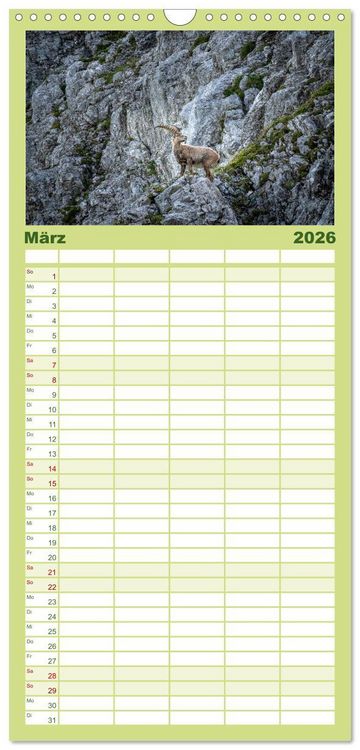 Produktbild: Familienplaner 2026 - Steinb&ouml;cke - Majest&auml;tische Tiere der Alpen mit 5 Spalten (Wandkalender, 21 x 45 cm) CALVENDO