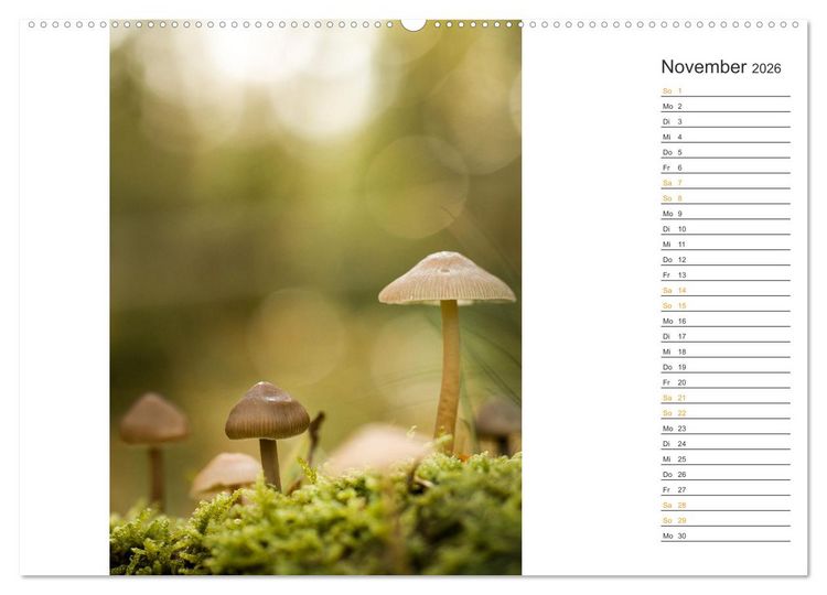 Produktbild: Kleine Wunder vor der Haust&uuml;r (hochwertiger Premium Wandkalender 2026 DIN A2 quer), Kunstdruck in Hochglanz