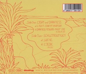 Produktbild: Schwingungen