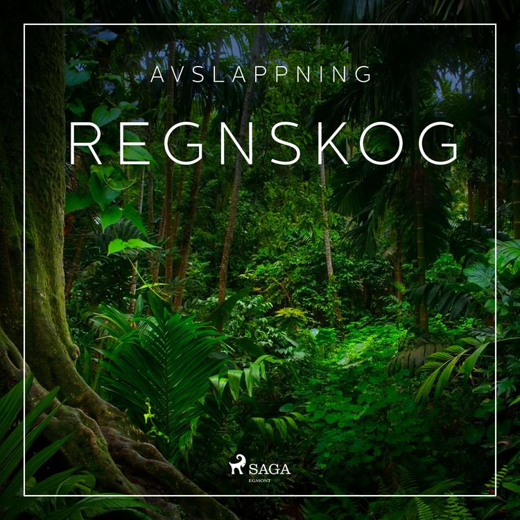 Produktbild: Avslappning - Regnskog