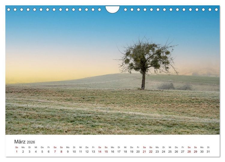 Produktbild: B&auml;ume - Gelebtes Leben (Wandkalender 2026 DIN A4 quer), CALVENDO Monatskalender