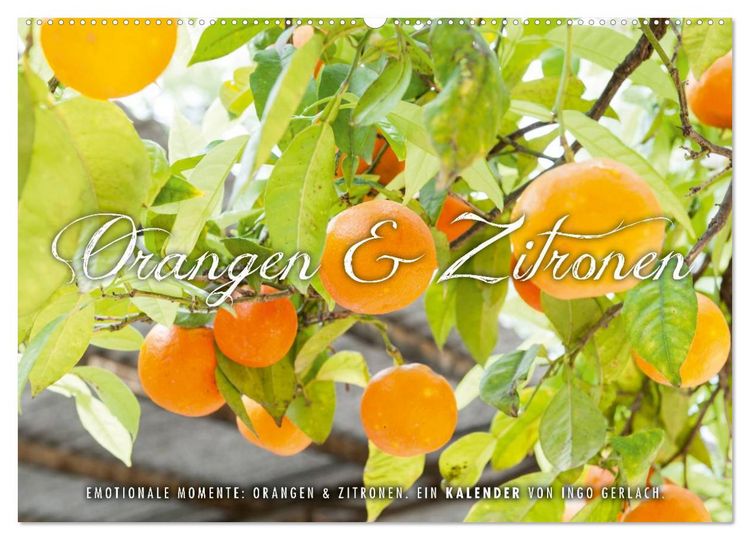 Produktbild: Emotionale Momente: Orangen & Zitronen. (Wandkalender 2026 DIN A2 quer), CALVENDO Monatskalender