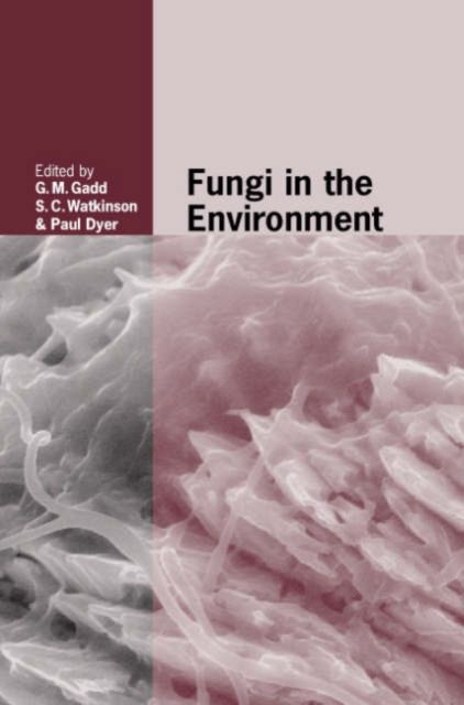 Produktbild: Fungi in the Environment