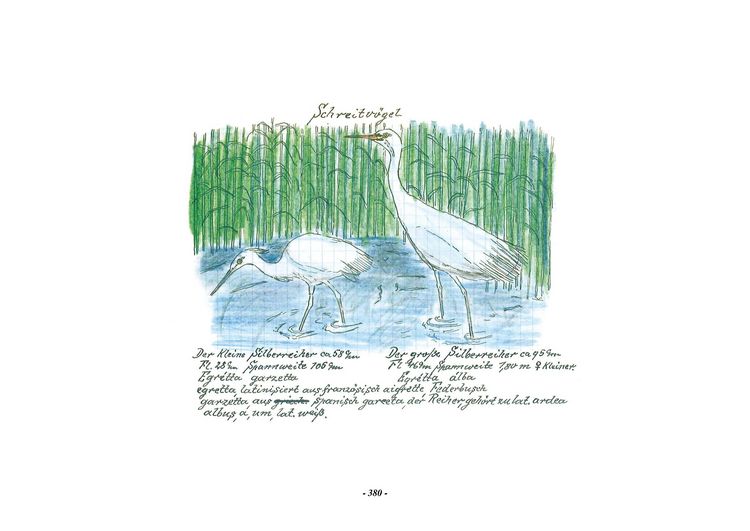 Produktbild: Das Vogel-Album. 1950