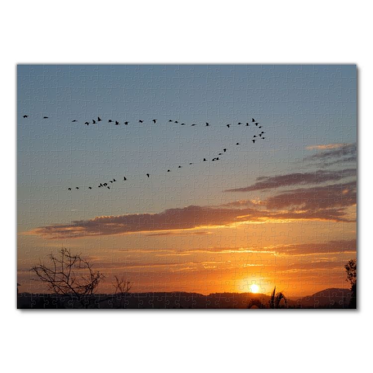 Produktbild: Lais Puzzle Sonnenuntergang mit V&ouml;geln 500 Teile