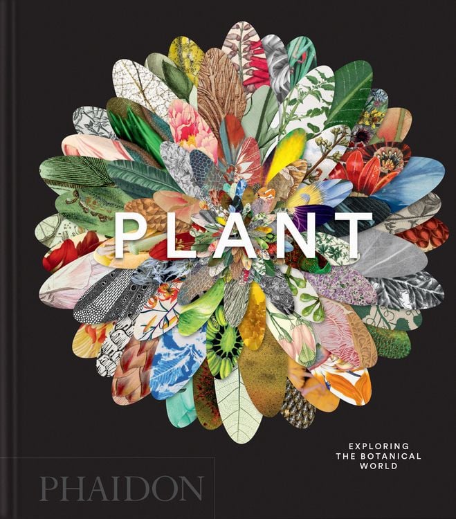 Produktbild: Plant