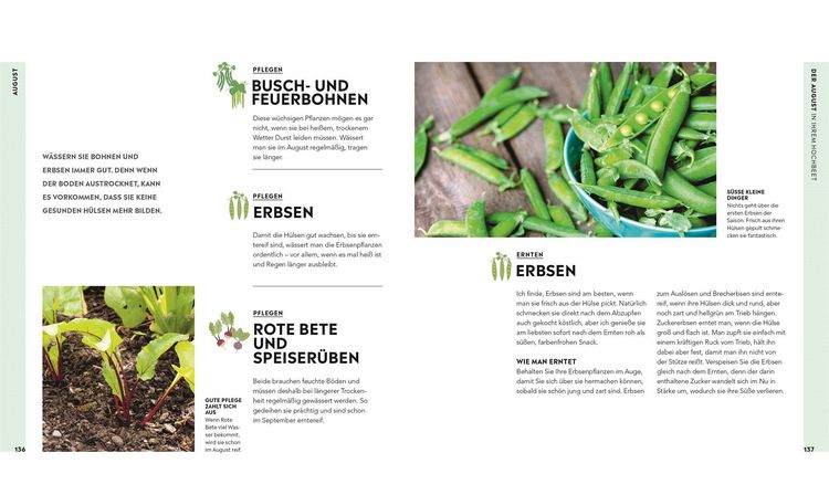 Produktbild: Hochbeet