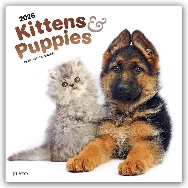 Produktbild: Kittens & Puppies – Kätzchen & Welpen 2026 – 16-Monatskalender