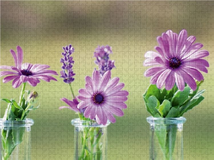 Produktbild: CALVENDO Puzzle Blumenfreuden 1000 Teile Lege-Gr&ouml;&szlig;e 64 x 48 cm Foto-Puzzle Bild von Avianaarts Design Fotografie by Tanja Riedel