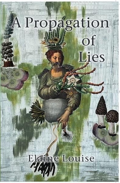 Produktbild: High and Mighty / A Propagation of Lies