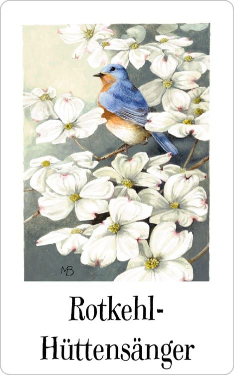 Produktbild: Schachtelspiel: Zauberhaftes Vogel-Memo (M. Bastin)