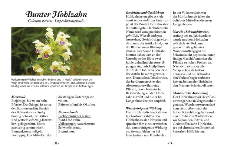 Produktbild: Das kleine Buch: Wildblumen auf Wiesen und Almen