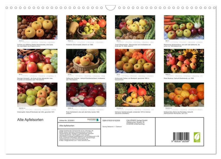 Produktbild: Alte Apfelsorten (Wandkalender 2026 DIN A3 quer), CALVENDO Monatskalender