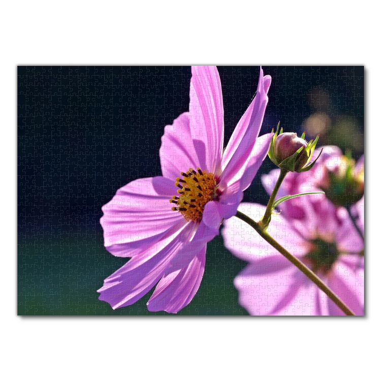 Produktbild: Lais Puzzle Blume 1000 Teile
