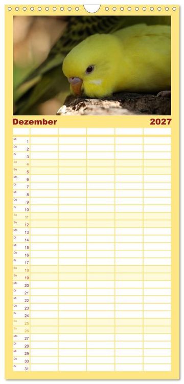 Produktbild: Familienplaner 2027 - Wellensittichkalender! - Das Original mit 5 Spalten (Wandkalender, 21 x 45 cm) CALVENDO