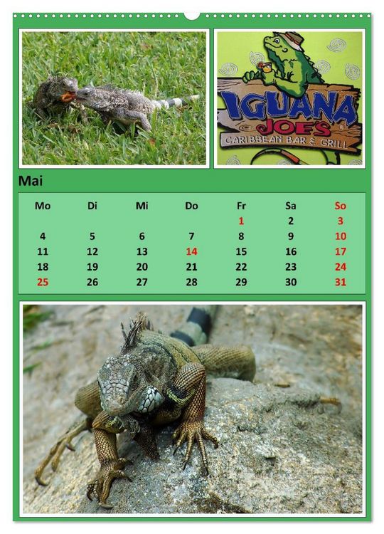 Produktbild: Karibik - Eindr&uuml;cke einer Kreuzfahrt (hochwertiger Premium Wandkalender 2026 DIN A2 hoch), Kunstdruck in Hochglanz