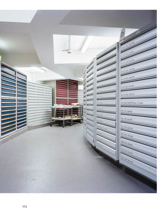 Produktbild: Architektur des medizinischen Wissens / Architecture for Medicine