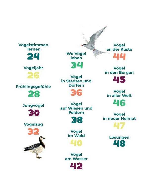 Produktbild: Birding &ndash; Entdecke die Wunderwelt der V&ouml;gel.