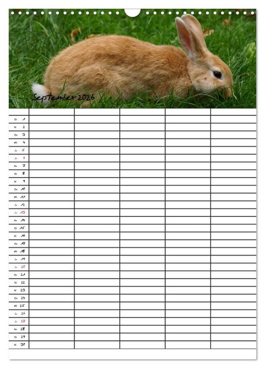 Produktbild: Meerschweinchen und Kaninchen Familienplaner (Wandkalender 2026 DIN A3 hoch), CALVENDO Monatskalender