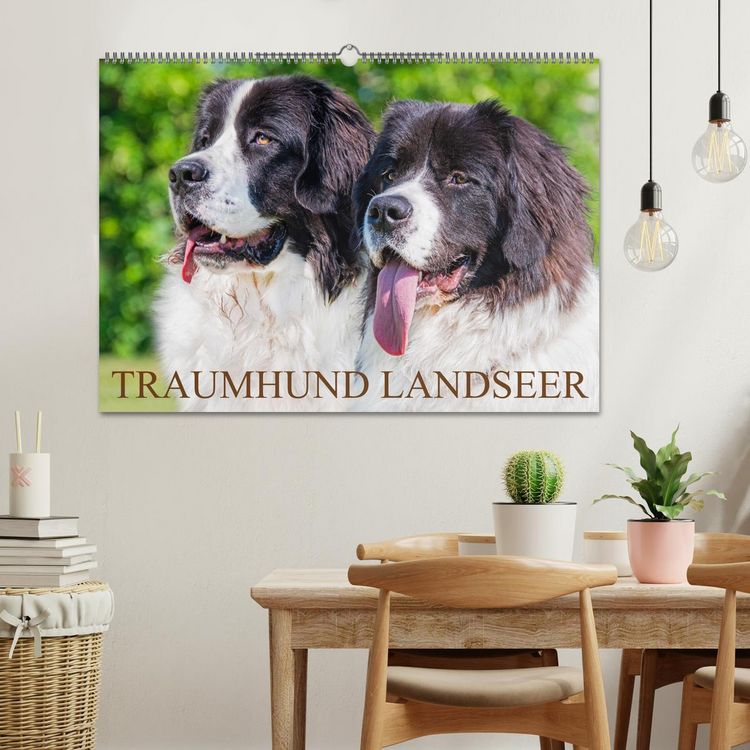 Produktbild: Traumhund Landseer (Wandkalender 2026 DIN A2 quer), CALVENDO Monatskalender