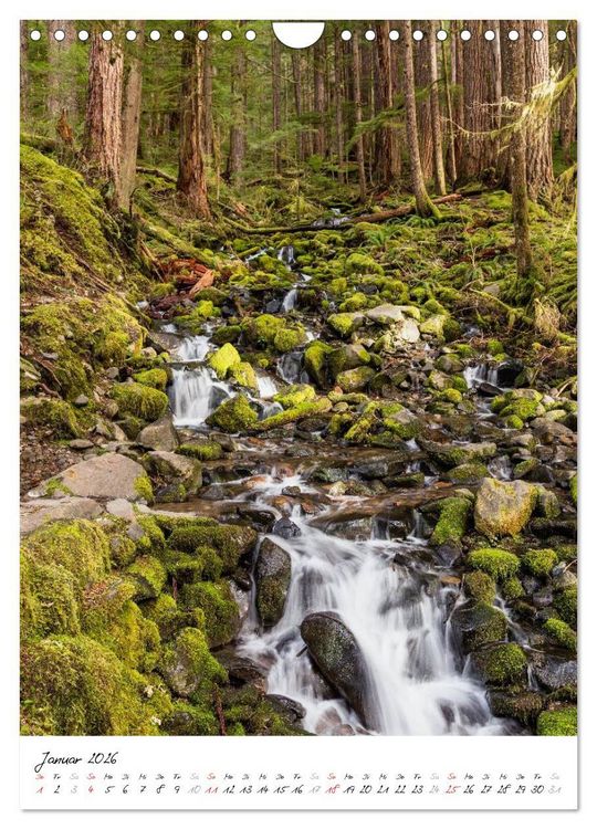 Produktbild: Weltnaturerbe Olympic National Park (Wandkalender 2026 DIN A4 hoch), CALVENDO Monatskalender