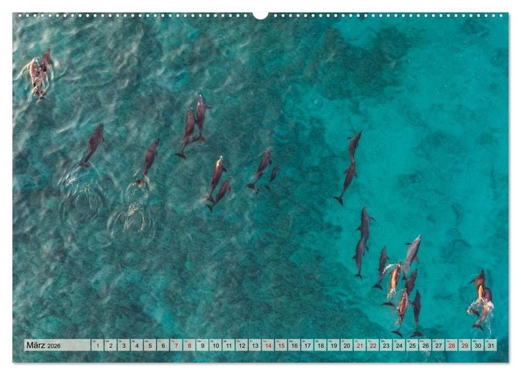 Produktbild: SOKOTRA - Magische Insel (hochwertiger Premium Wandkalender 2026 DIN A2 quer), Kunstdruck in Hochglanz