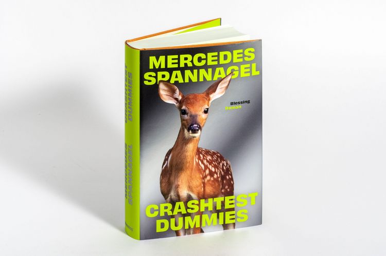 Produktbild: Crashtest Dummies
