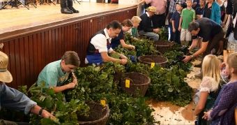 Produktbild: Bayern - Sagenhaft