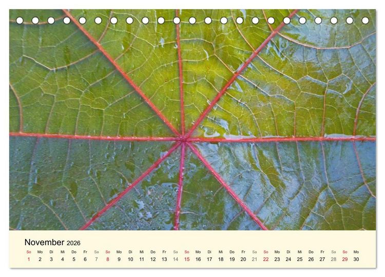 Produktbild: Kraftquelle Gr&uuml;n (Tischkalender 2026 DIN A5 quer), CALVENDO Monatskalender