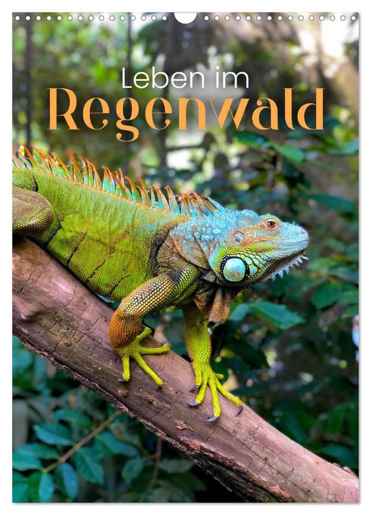 Produktbild: Leben im Regenwald (Wandkalender 2026 DIN A3 hoch), CALVENDO Monatskalender