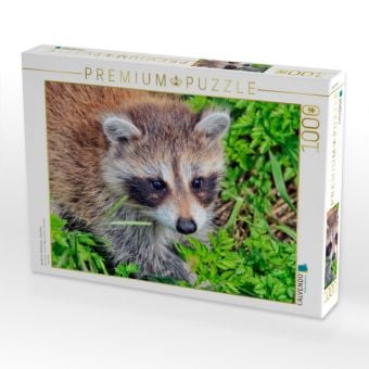 Produktbild: CALVENDO Puzzle Niedlicher Allesfresser - Waschb&auml;r | 1000 Teile Lege-Gr&ouml;&szlig;e 64x48cm Foto-Puzzle f&uuml;r gl&uuml;ckliche Stunden