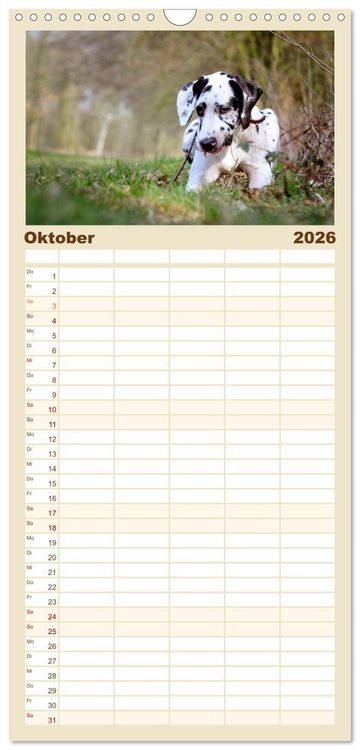 Produktbild: Familienplaner 2026 - Deutsche Doggen / Geburtstagskalender mit 5 Spalten (Wandkalender, 21 x 45 cm) CALVENDO