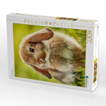 Produktbild: CALVENDO Puzzle Tierisch sch&ouml;ne Gef&uuml;hle | 1000 Teile Lege-Gr&ouml;&szlig;e 64x48cm Foto-Puzzle f&uuml;r gl&uuml;ckliche Stunden