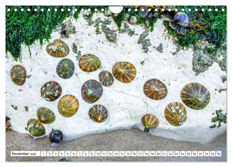 Produktbild: Normandie Die Farben der Ebbe (Wandkalender 2026 DIN A4 quer), CALVENDO Monatskalender