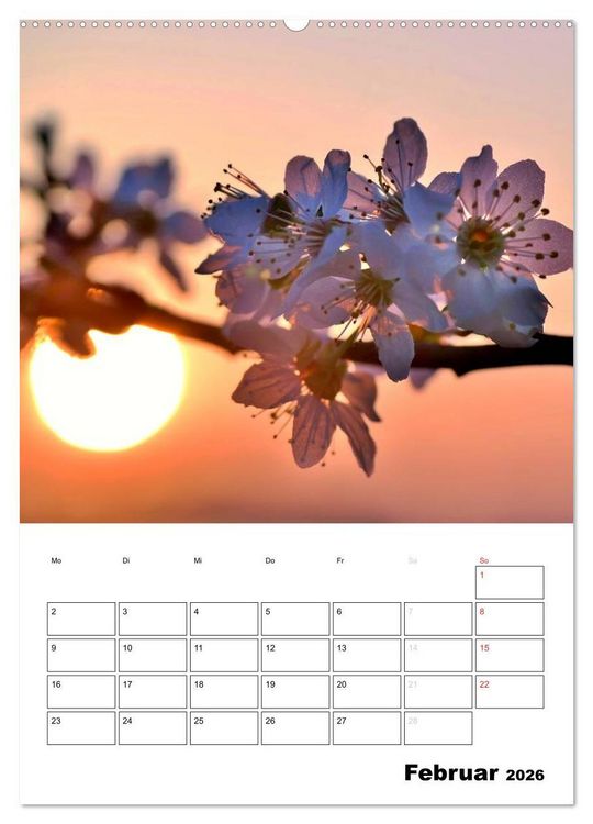 Produktbild: Zauberhafte Bl&uuml;tenwelt / Planer (Wandkalender 2026 DIN A2 hoch), CALVENDO Monatskalender