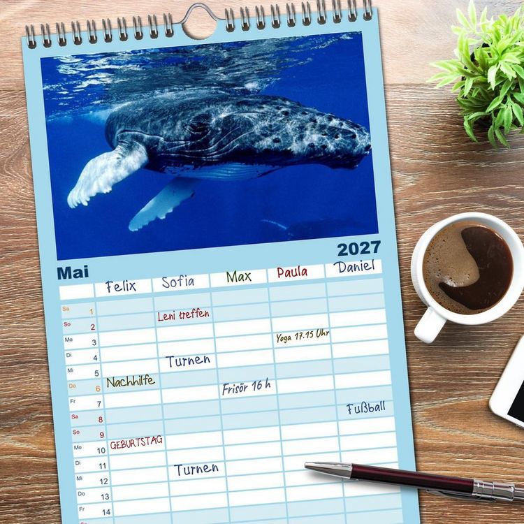 Produktbild: Familienplaner 2027 - Delfine und Wale mit 5 Spalten (Wandkalender, 21 x 45 cm) CALVENDO