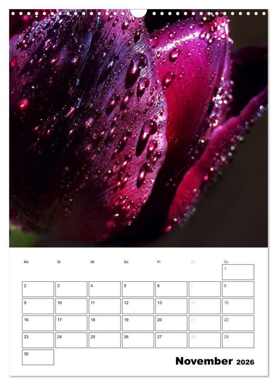 Produktbild: Zauberhafte Bl&uuml;tenwelt / Planer (Wandkalender 2026 DIN A3 hoch), CALVENDO Monatskalender