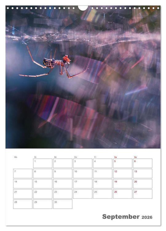 Produktbild: Helden in der Natur (Wandkalender 2026 DIN A3 hoch), CALVENDO Monatskalender