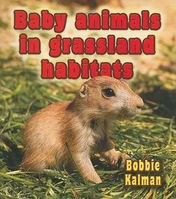 Produktbild: Baby Animals in Grassland Habitats